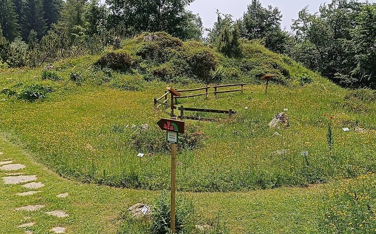 Giardino botanico delle Alpi Orientali